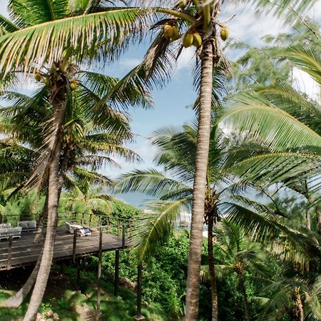 Eco Lifestyle And Lodge Bathsheba Eksteriør billede