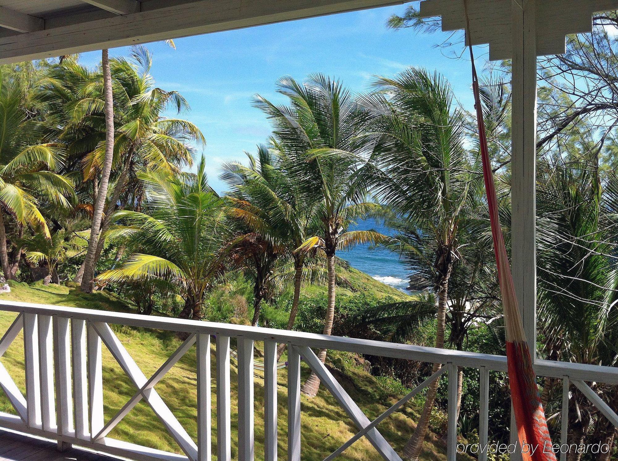 Eco Lifestyle And Lodge Bathsheba Eksteriør billede