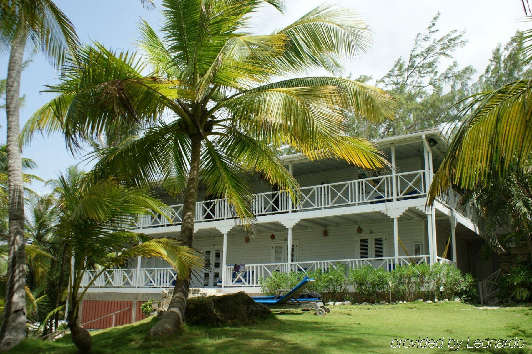 Eco Lifestyle And Lodge Bathsheba Eksteriør billede
