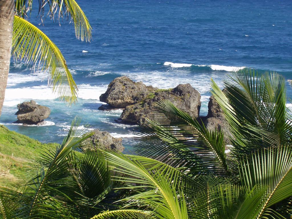 Eco Lifestyle And Lodge Bathsheba Eksteriør billede
