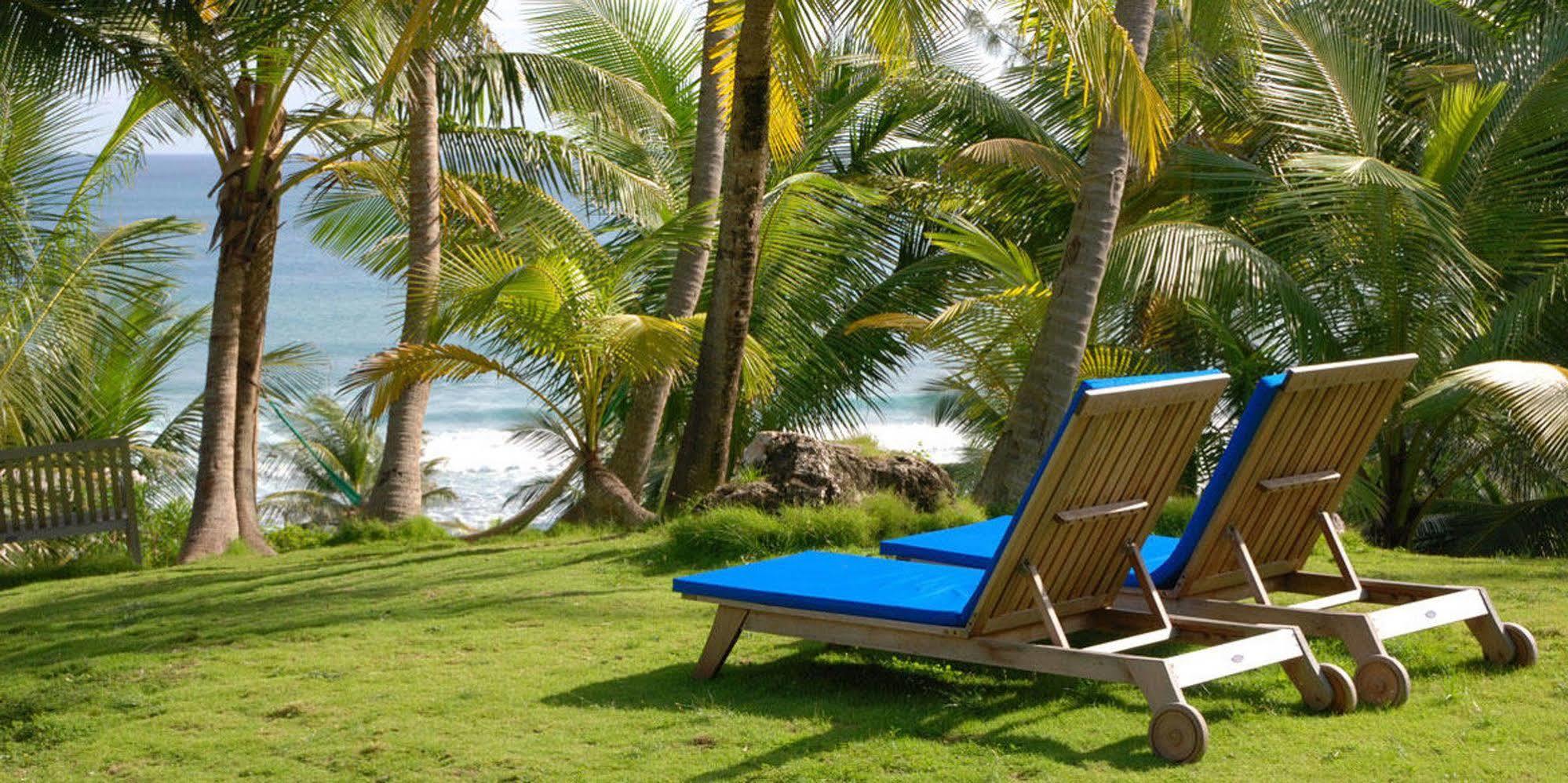 Eco Lifestyle And Lodge Bathsheba Eksteriør billede
