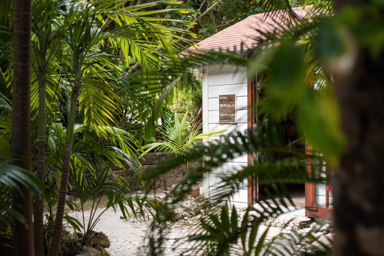 Eco Lifestyle And Lodge Bathsheba Eksteriør billede