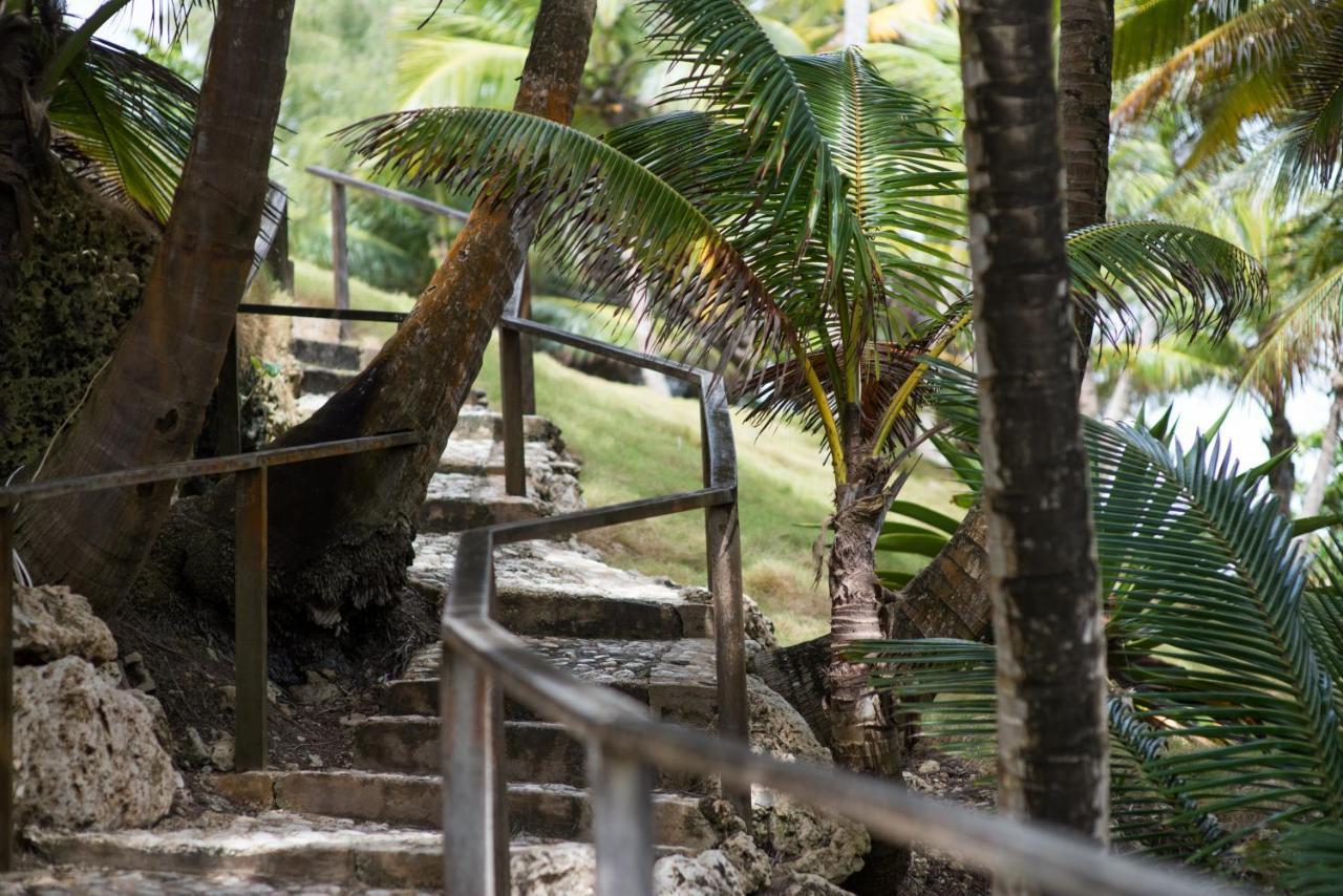 Eco Lifestyle And Lodge Bathsheba Eksteriør billede