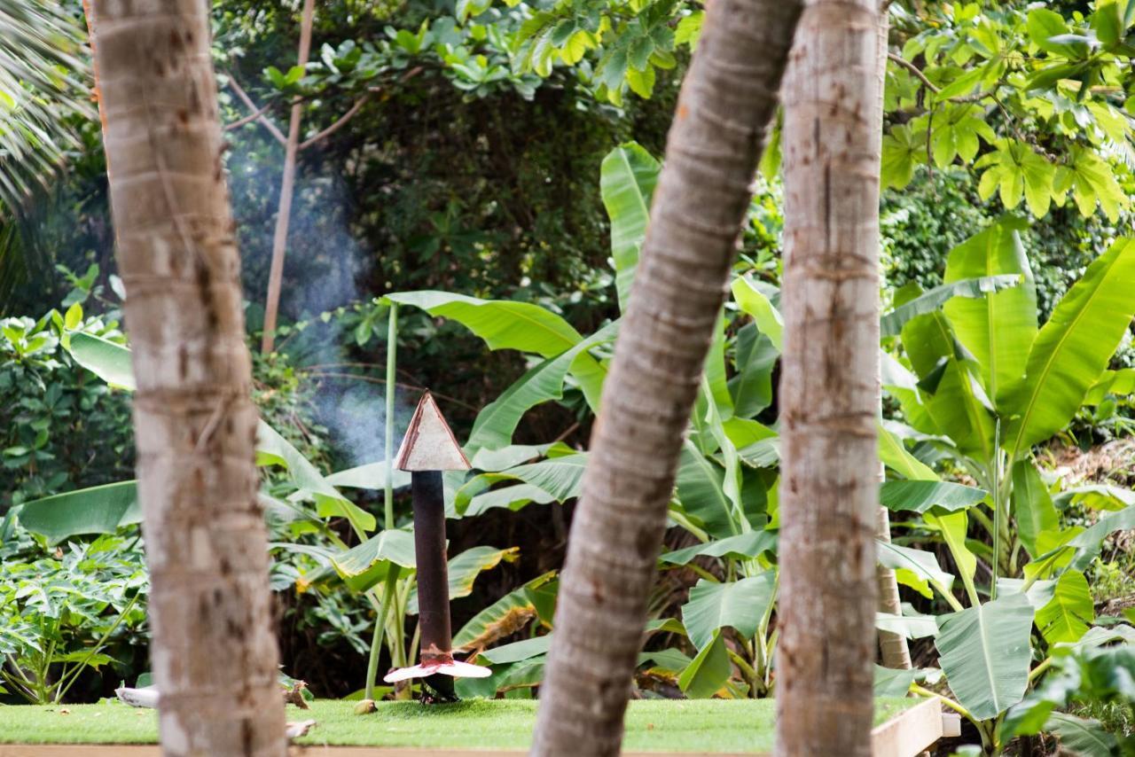 Eco Lifestyle And Lodge Bathsheba Eksteriør billede