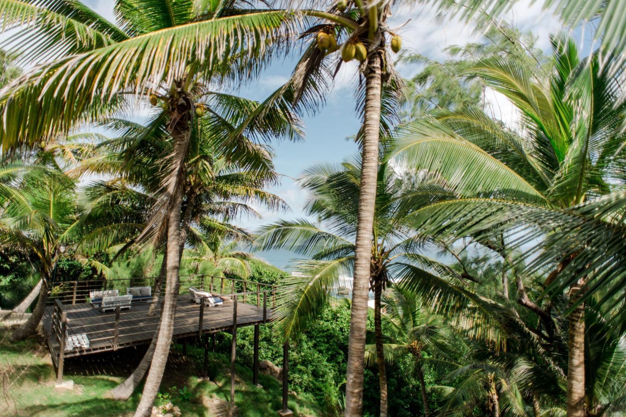 Eco Lifestyle And Lodge Bathsheba Eksteriør billede